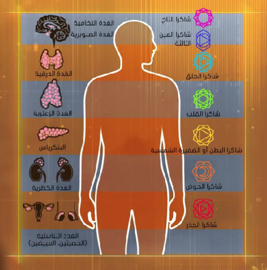 الغدة الدرقية